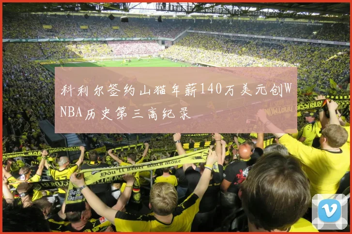 科利尔签约山猫年薪140万美元创WNBA历史第三高纪录